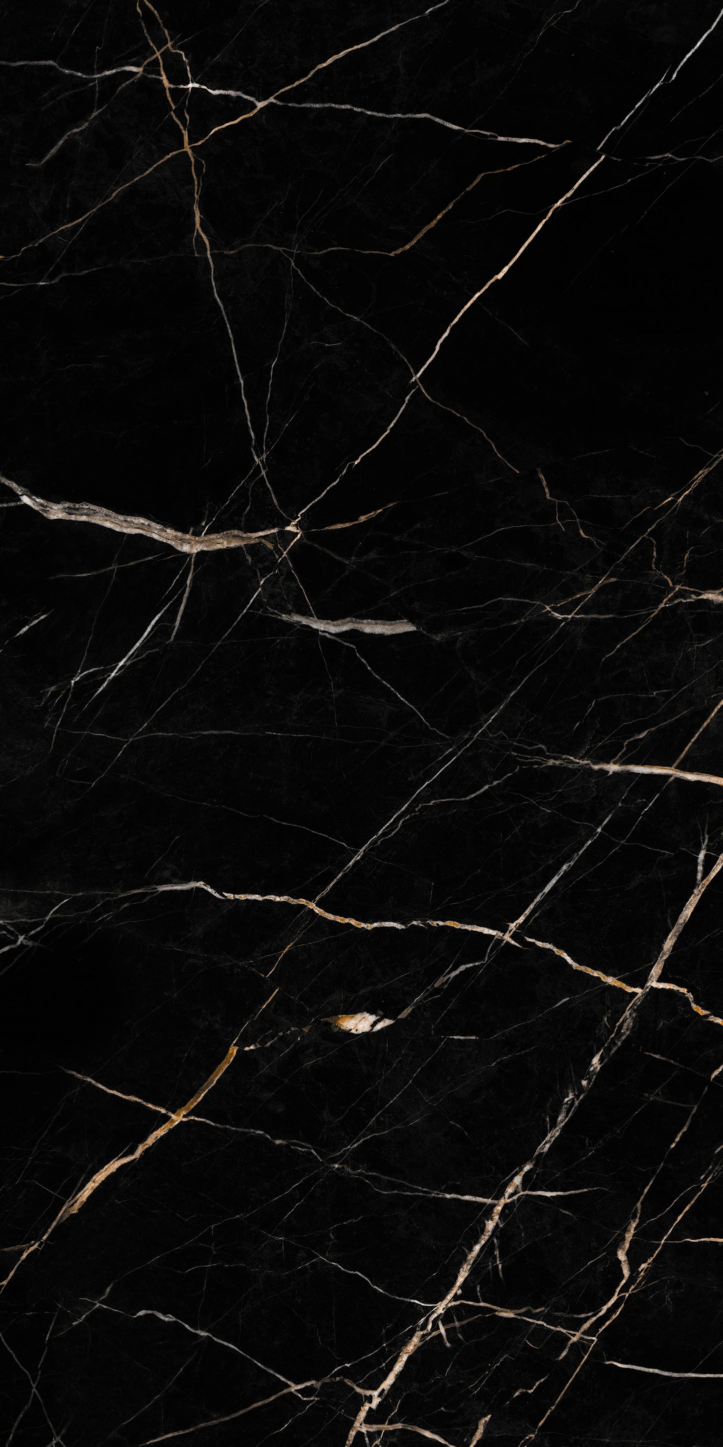 SPC - Calacatta Black  (Pack of 4)