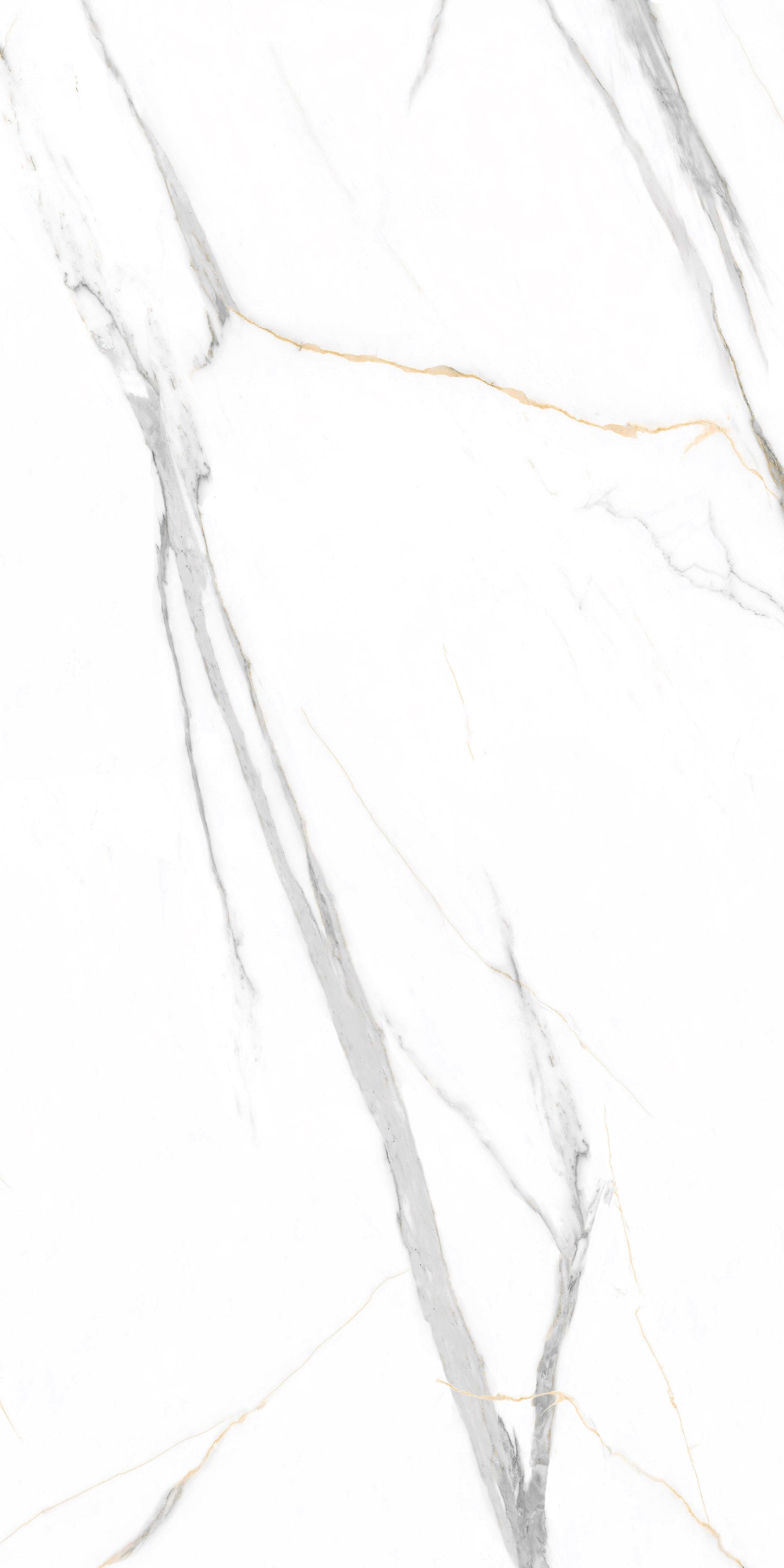 SPC - Calcatta White  (Pack of 4)