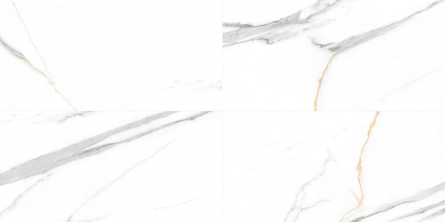 SPC - Calcatta White  (Pack of 4)